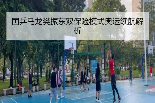 国乒马龙樊振东双保险模式奥运续航解析